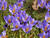  B005356oofm